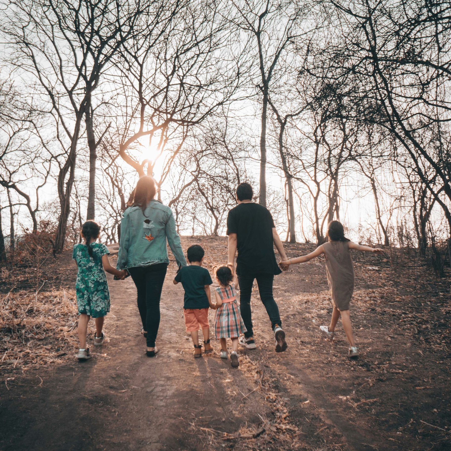 Finding harmony in blended families