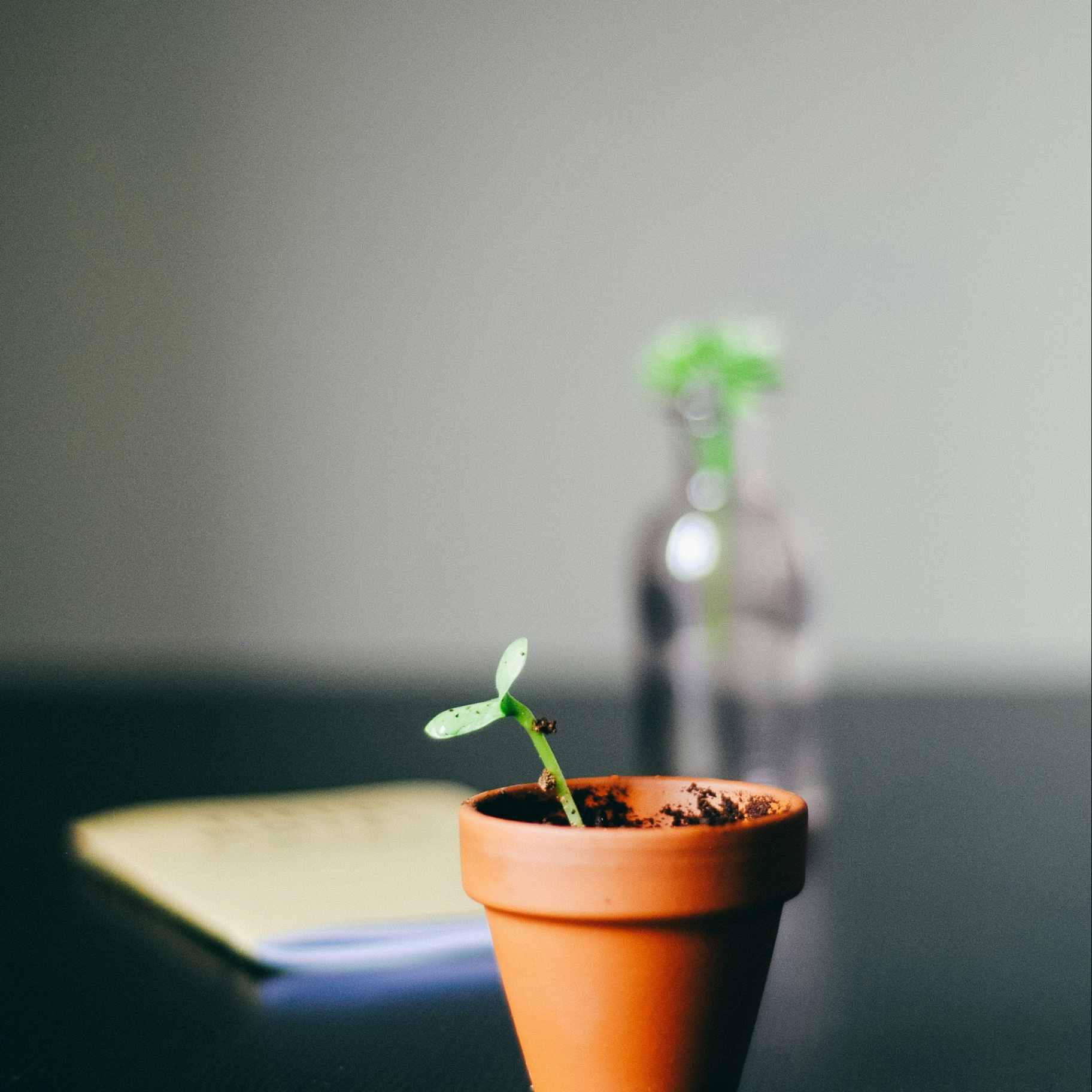 Infertility: From heartache to hope